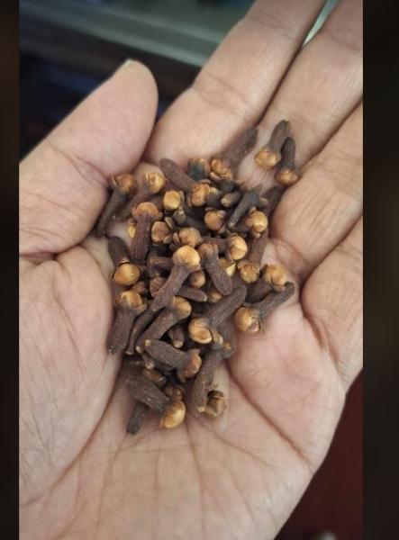 Cloves
